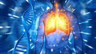 Fast Self Healing- Detox, Repair Body&Release Toxins, Energetic Reset, Remove All Negative Obstacles