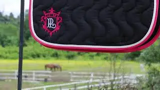 TAPIS DE SELLE POINT SELLIER classique noir & fuchsia - P&eacute;n&eacute;lope