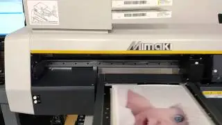 Best UV PRINTER, Mimaki ujf photo quality..
