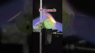 Powerful Lighter vs Turtle 🔥 0.1s - 30s Burn Test! (Oddly Satisfying) #shorts #lighter #asmr