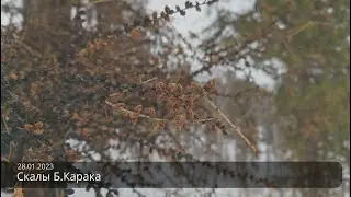 28.01.2023 Скалы Б.Карака (Raw 4K)