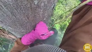 Heart Stopping Wild Honey Hunt &ndash; Brave Hunters Face Furious Bee PY8s8dhzmHg part5