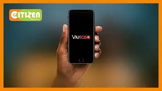 Приложение &laquo;Видео по запросу&raquo; от Royal Media Service получило награду в области цифровых медиа