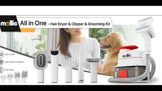 🐾 The Ultimate Pet Hair Solution with 4L Dust Cup, 6 Grooming Tools, and More! 🐶😺🔴