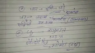 Science for group D(प्रकाश संश्लेषण) Photosynthesis