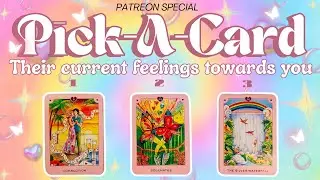 Their current feelings towards you. 🎀💗🕊️✨Pick A Card TAROT reading 🎀💗🕊️✨