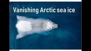 The impacts of vanishing Arctic sea ice | Prof TRACEY ROGERS
