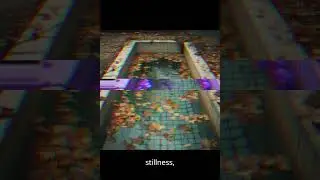 The Pool Of Echoes