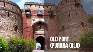 Purana Qila Cinematic 4K | Old Fort | Incredible India | Delhi | Shot On iPhone 13 Pro