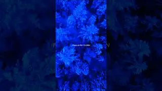 Warriyo - Mortals | lyrics| Aesthetic | Nostalgia #lyricvideo #warriyo #aesthetic # nostalgia