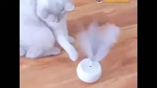 Automatic Feather Shake Tumbler Cat Toy