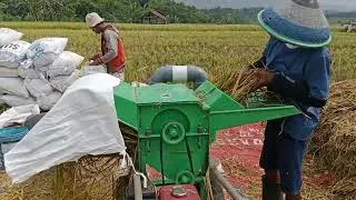 Test Mesin Perontok Padi Blower