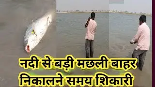 Badi Machhali Nadi Ke Bahar Nikalte Time 🎣 Biggest Fishing Video In Hindi #yt #video #trending 