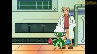 Roserade attacks Professor Oak | Professor Oak Funny Moments