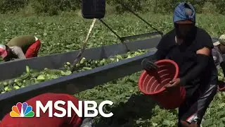 Chris Hayes: This Is What Essential Work Looks Like | All In | MSNBC
