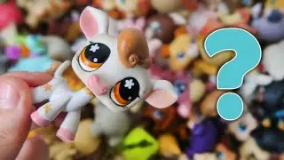 How many LPS does Alice LPS own?