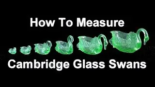 How to Measure Cambridge Glass Swans
