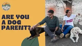 The Koira Club | Dog Parenting Tips, Why We Love Training & Big News for Dog Lovers in Pune!