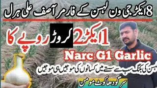narc G1 Garlic complete information // g1 garlic booking very cheap low price // #narcG1Garlic2023