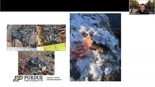 Indiana Wildlife Update from Purdue Forestry & Natural Resources Extension Specialist Brian MacGowan