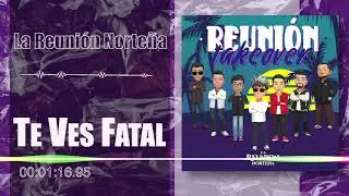 La Reuni&oacute;n Norte&ntilde;a - Te Ves Fatal - Reunion Takeover (Audio)