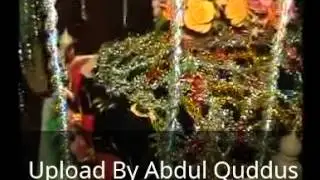 Hazrat Syed Ameer Ali Shah 2012 P-1