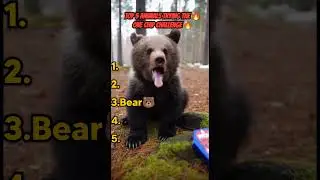 Beast vs One Chip Challenge #spicy #animals #funnyanimal