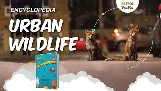 Urban Wildlife | Safety of Wild Animals that Live Around Us  | Mind Wars Encyclopedia