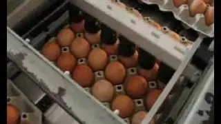 Egg coding EggFlex HeDiPack on Moba 3000 grader