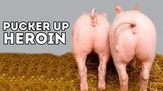 Heroin Addiction - HOW WE BEAT HEROIN & Kicked Its Butt