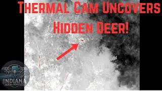 Thermal Drone Deer Recovery | See Through the Leaves in Early Fall!