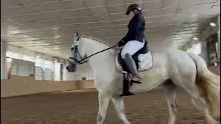 27.07.24 Dardesheim, Dressur WB Anlehnung an Kl. E, DW5, Platz 3 mit einer WN von 7,8 mit Sassy