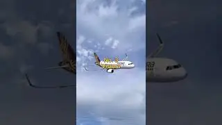 Top 5 Best Airlines in India #trending #viral #top #top1 #shortsfeed #shortvideo #shortsvideo #top