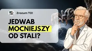 How do spiders produce silk stronger than steel?