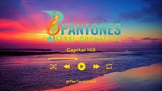 The PanTones Steel Orchestra - Capitol Hill Block Party Performance