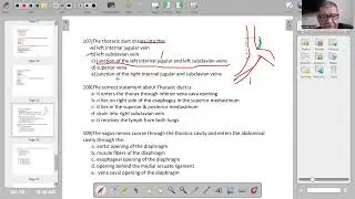 M.C.Q on thorax anatomy for medical  students part four