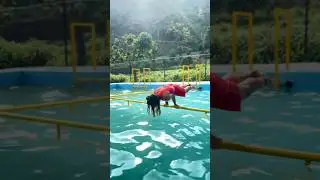 Who said pool time is just for floating?#Calisthenics #PoolWorkout#WaterWorkout #fitgirl#fitness#fit