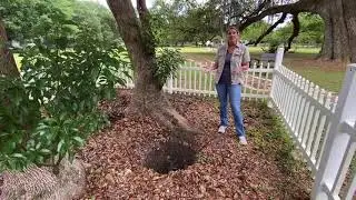 Archaeology at Arcadia- Brick Well