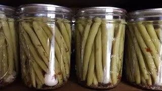 How To Can Dilly Beans