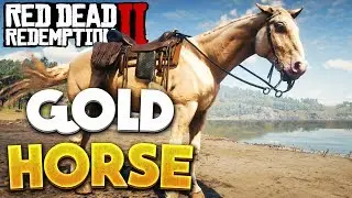 Red Dead Redemption 2 Gold Rare Horse Location! RDR2 Best Horse