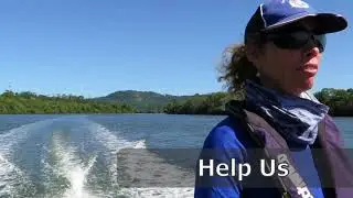Healthy Waterways-Healthy Dolphins Project
