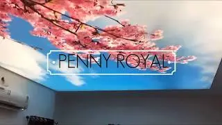 3D DIGITAL PRINTED CEILING - PENNY ROYAL PAKISTAN