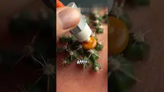 How to Remove the Spines from Cacti 🌵#shorts #oliviayfilms