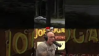 Joe Rogan on the Best Budget Car 🚗👀
