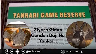 Ziyara Gidan Gandun Daji Na Yankari.