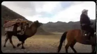 Eagle hunting festival by Horse Trails Mongolia