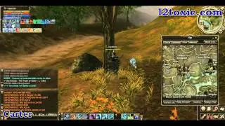 Road to NPC to sign Giran castle/ Дорога к НПЦ для регистрации на осаду замка Гиран!