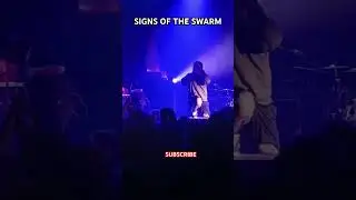 Signs Of The Swarm #metal #concert #signsoftheswarm