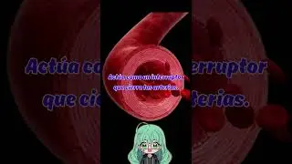 La cola de las lagartijas  #datoscurisos #vtuber