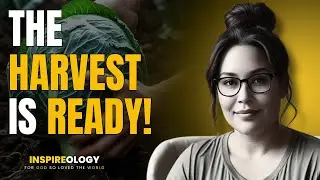 The Harvest Is Ready! | End-Time Harvest Vision #jesusiscoming #rapturewarning #inspireology